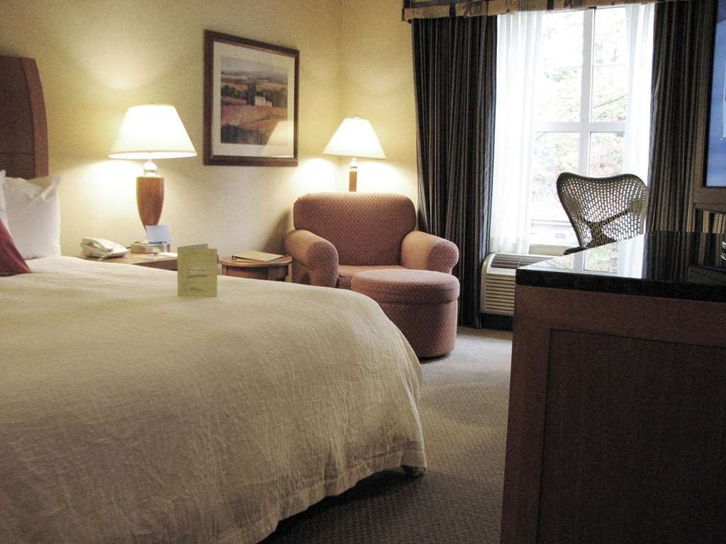 Hilton Garden Downtown Hotel